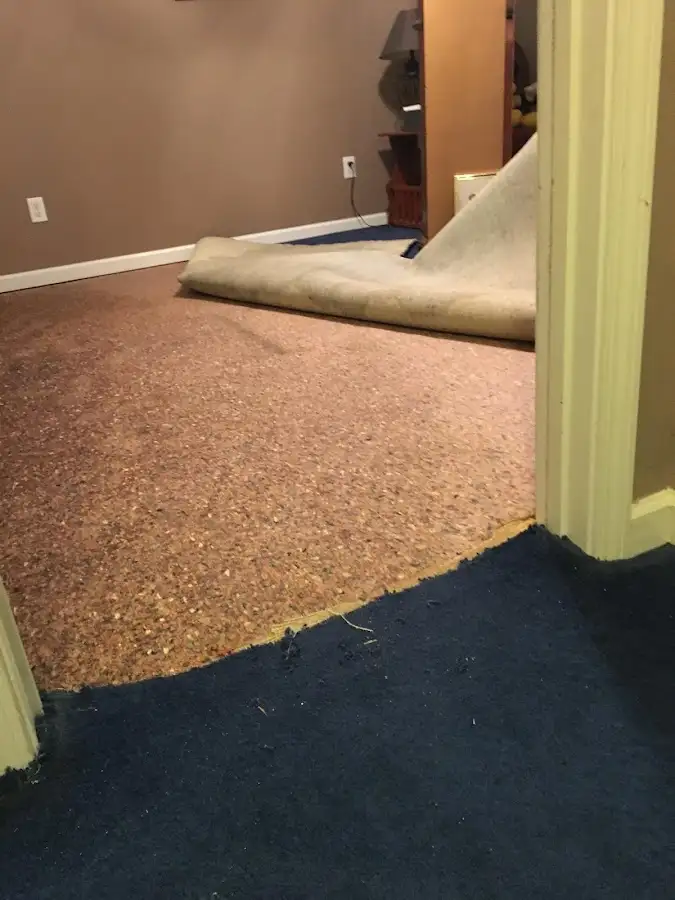 Carpet pad removal revealing water damage during Water Mitigation Services in New Kensington