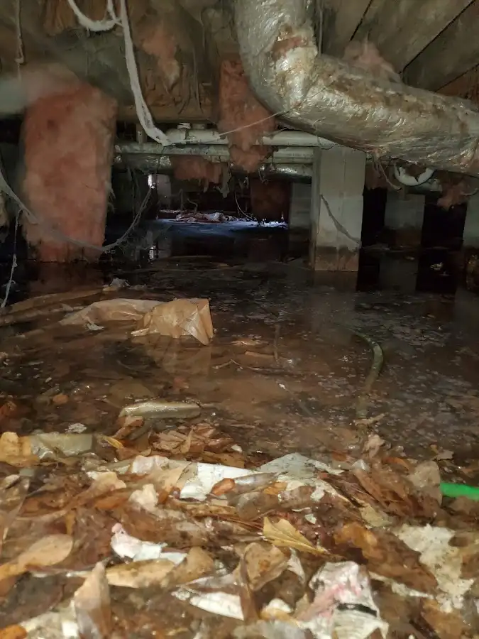 Crawl space flood assessment for Leak Detection & Repair in New Kensington