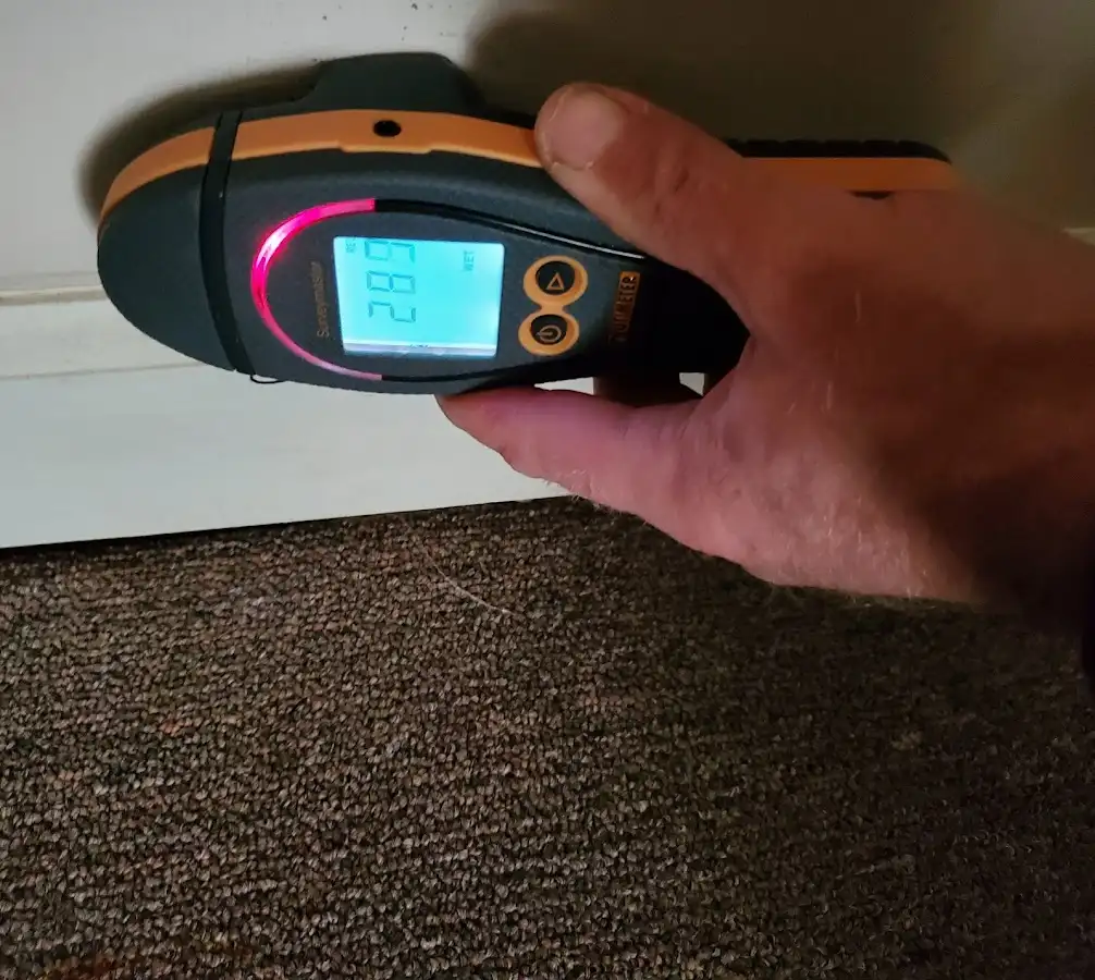 Moisture detection at baseboard during Sewage Cleanup & Sanitation in New Kensington